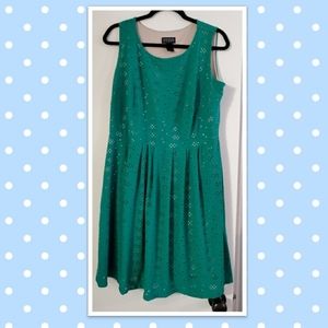 Enfocus Women- Green Nude Dress